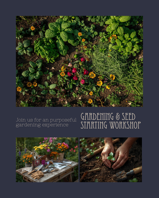 Returning to Your Roots: An Intro to Gardening & Seed Starting